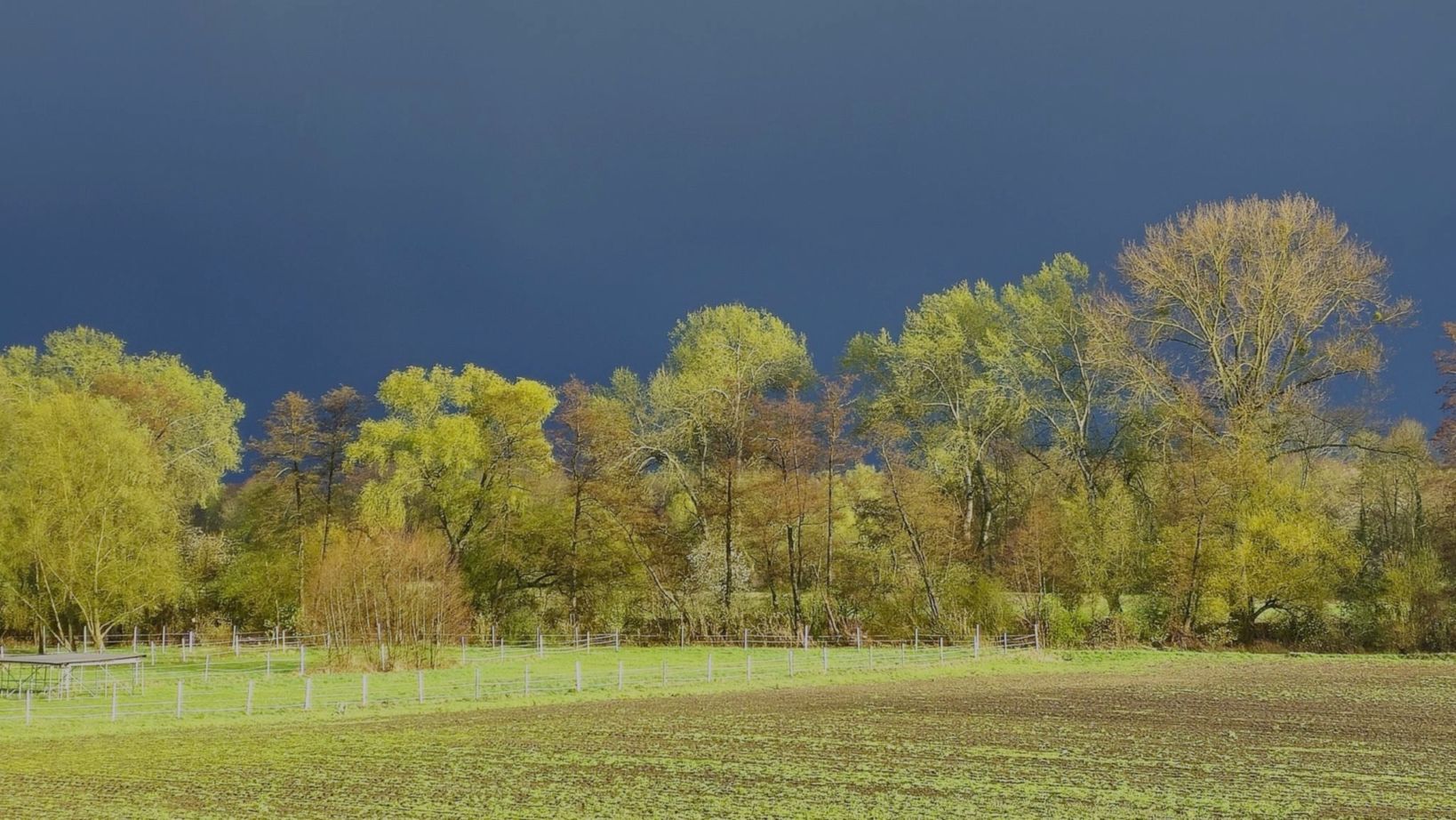 Natur als Spiegel - wie Naturbeobachtungen intuitives Schreiben inspirieren